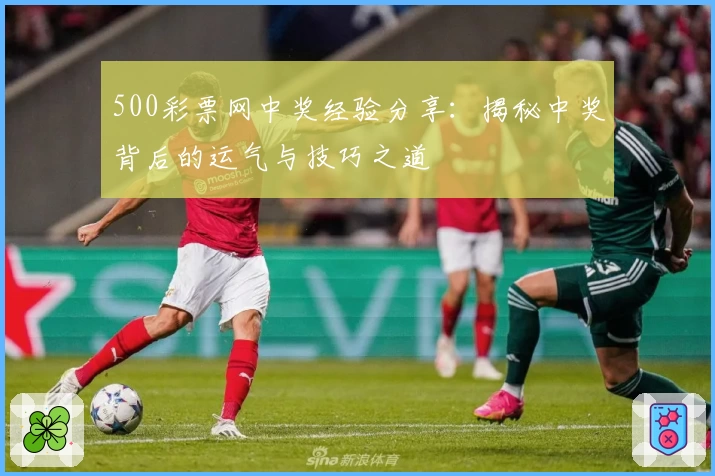 500彩票网中奖经验分享：揭秘中奖背后的运气与技巧之道