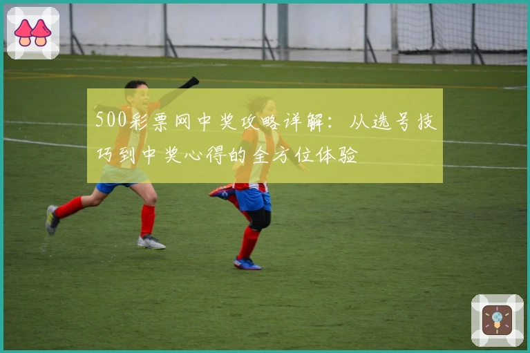 500彩票网中奖攻略详解：从选号技巧到中奖心得的全方位体验