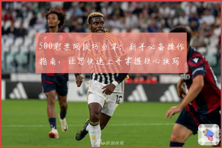 500彩票网技巧分享：新手必备操作指南，让您快速上手掌握核心诀窍
