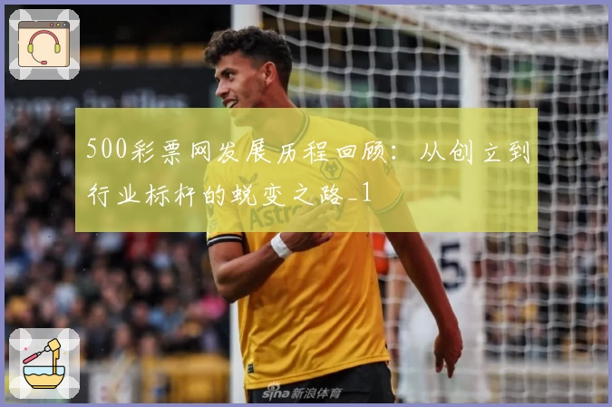 500彩票网发展历程回顾：从创立到行业标杆的蜕变之路_1
