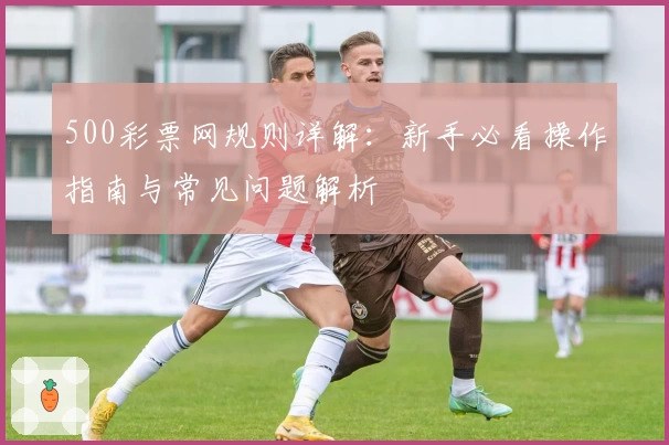 500彩票网规则详解：新手必看操作指南与常见问题解析